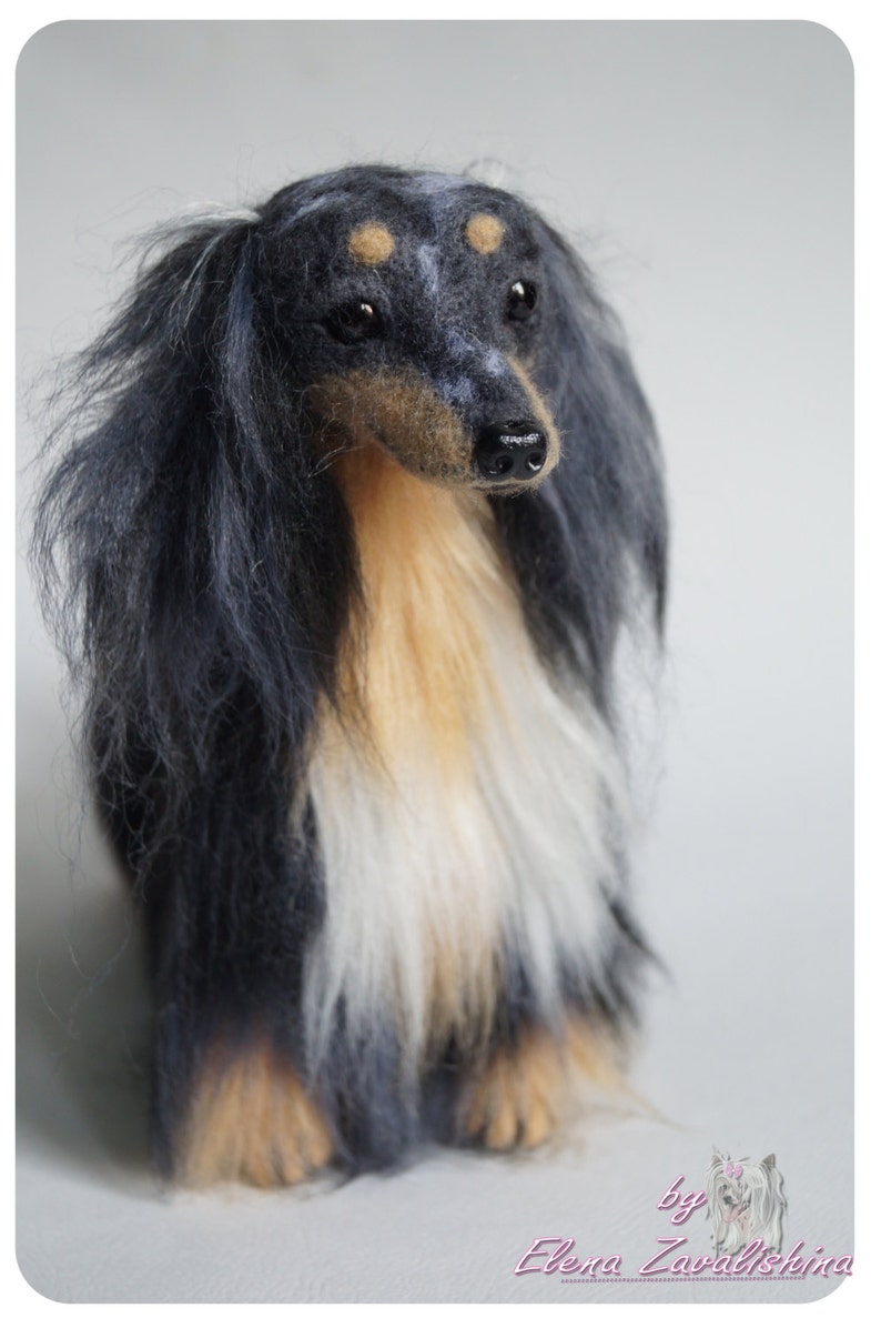 Longhaired dachshund/Needle felted Dog /Collectible Dog Etsy