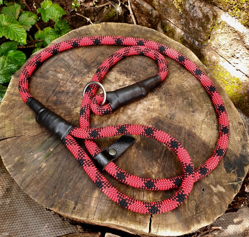 Handmade slip rope dog leash made from climbing rope. Etsy
