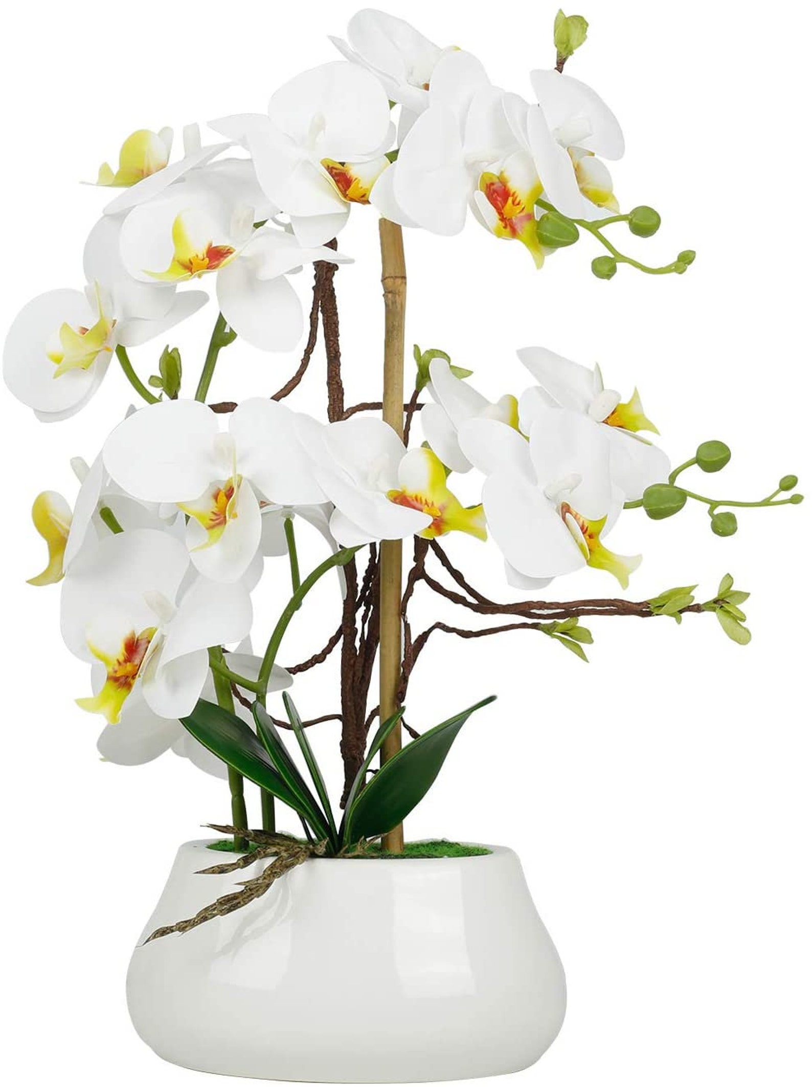 LIVILAN Faux Orchid Flowers Large Fake White Orchid Artificial Etsy