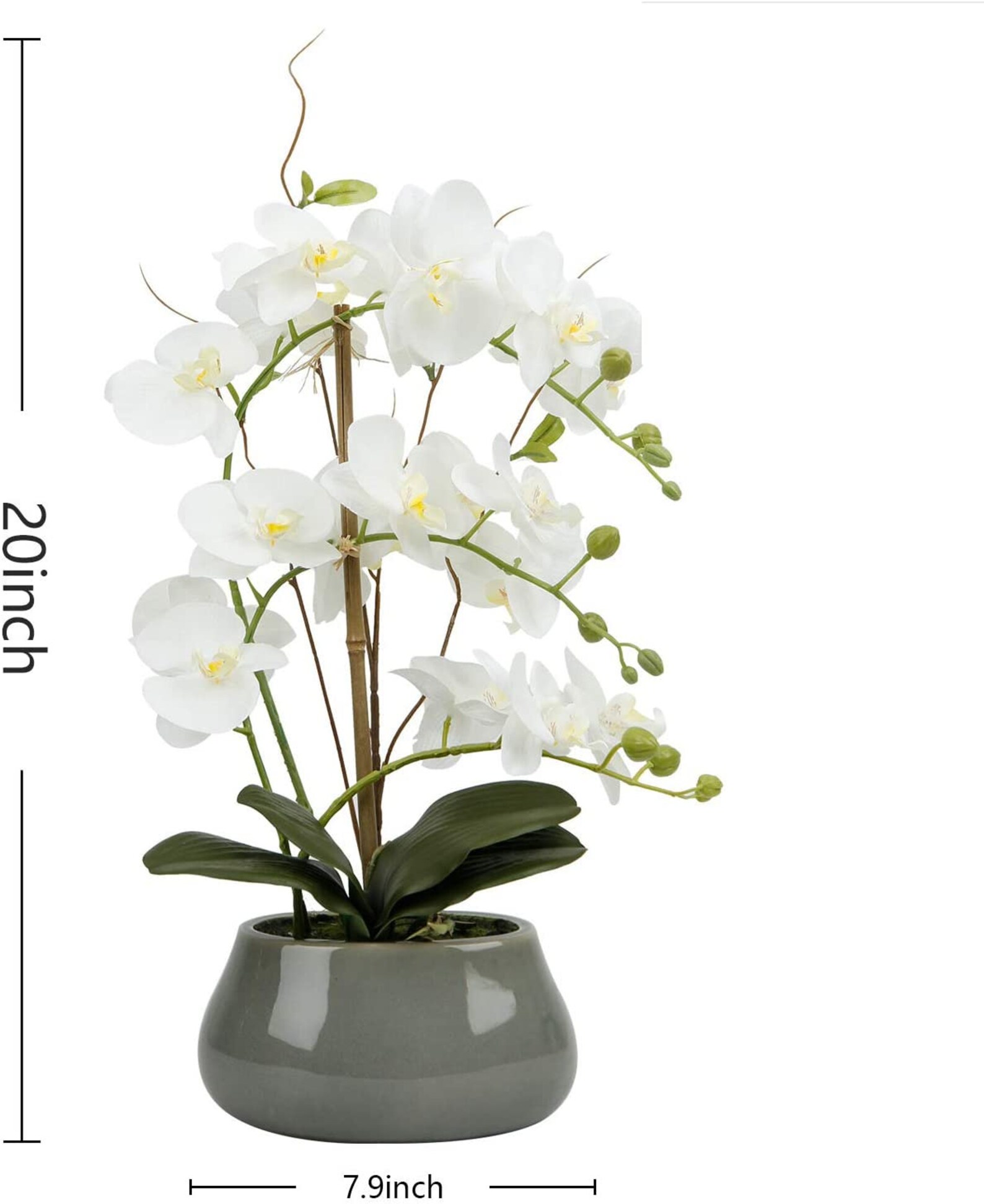 LIVILAN Faux Orchid Flowers Large Fake White Orchid Artificial Etsy