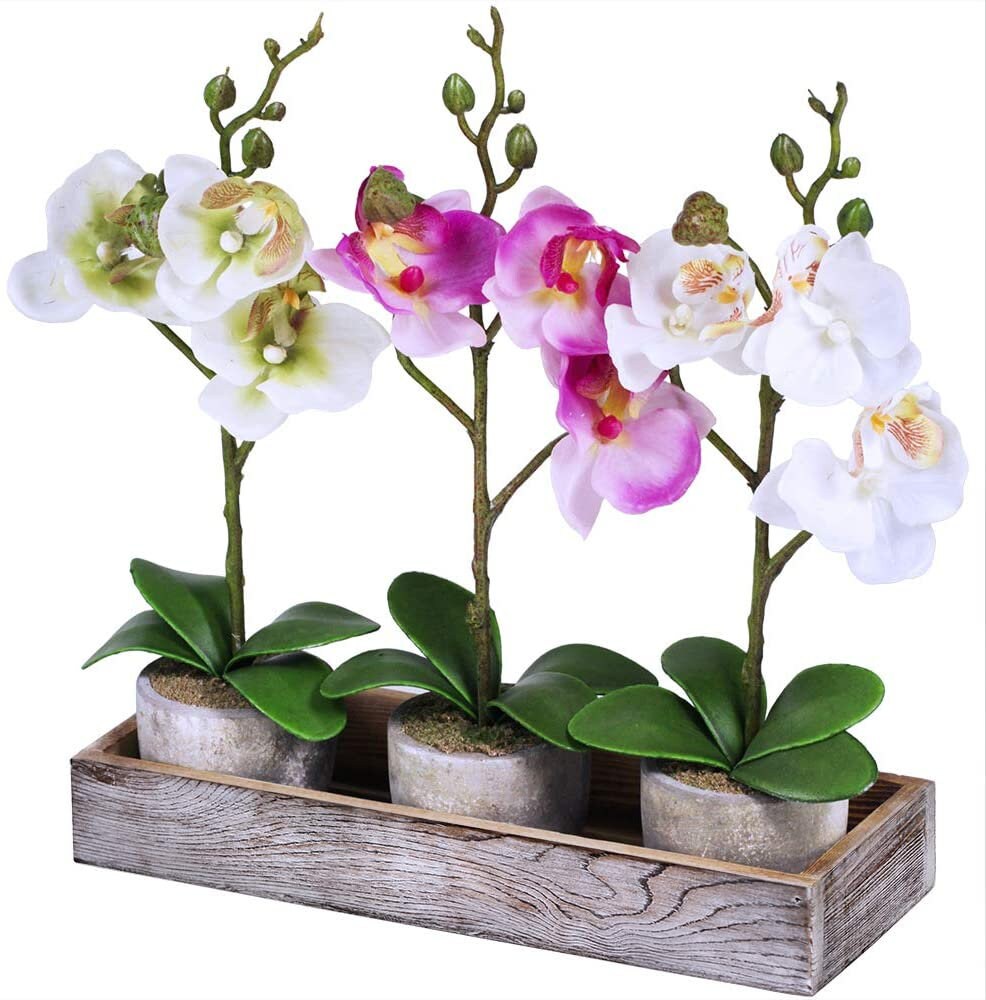 Set of 3 Fake Orchid Assortment Mini Potted Orchid Plants with Etsy
