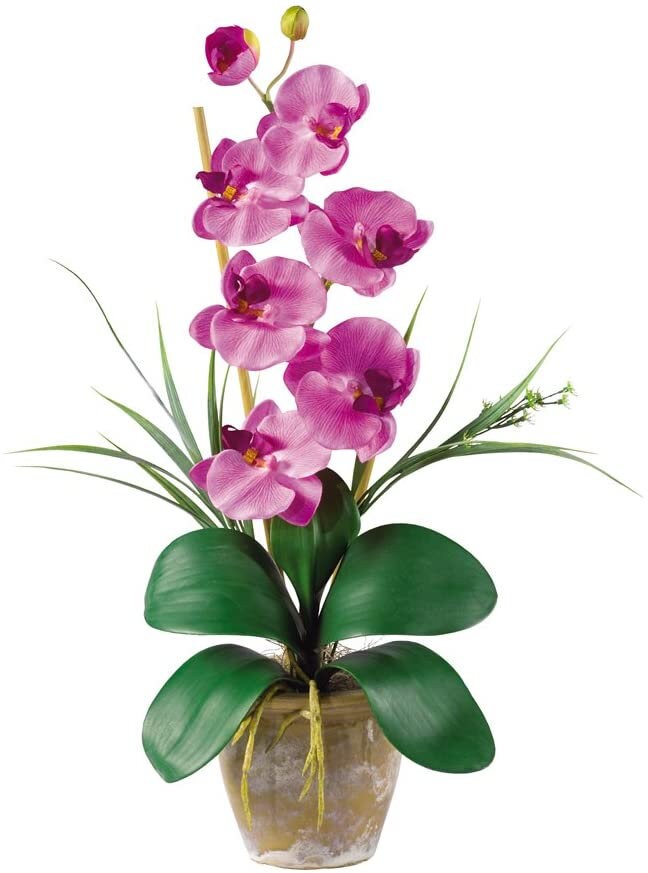 Nearly Natural 1016GY Phalaenopsis Silk Orchid Flower Etsy