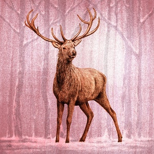 Majestic Stags, Greeting Cards. Original artwork of red deer in woodlands. Pack of 4 different designs. 150mm x 150mm. image 3