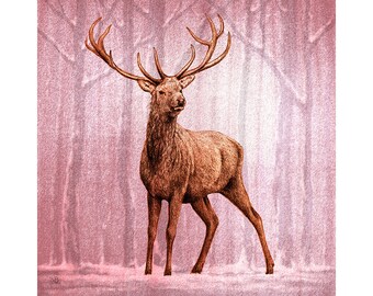 Majestic Stags, Greeting Cards. Original artwork of red deer in woodlands. Pack of 4 different designs. 150mm x 150mm.