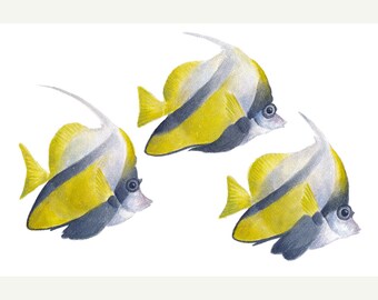 Coral Fish. Original watercolour painting of exotic fish