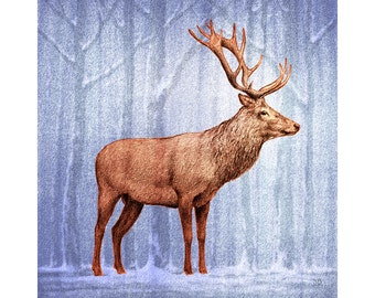 Majestic Stags, Greeting Cards. Original artwork of red deer in woodlands. Pack of 4 different designs. 150mm x 150mm.