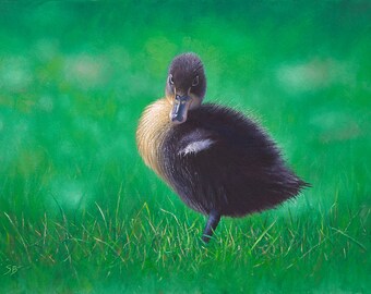 Duckling - Check Me Out. Digital print from my original oil painting of a cute, fluffy duckling