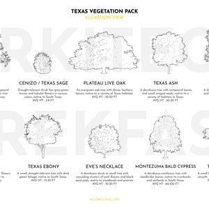 May include: A black and white illustration of 10 different trees native to Texas. Each tree is labeled with its common name and average height. The trees are arranged in two rows of five. The illustration is titled "Texas Vegetation Pack Elevation View".