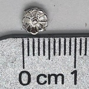 May include: A small, silver-colored flower charm with a raised design. The charm is about 1 cm in diameter.