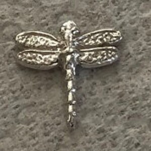 May include: A silver dragonfly charm with detailed wings and a textured finish.