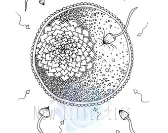 Pregnancy Coloring Page - DIGITAL DOWNLOAD - Birth art, Adult coloring, Birth affirmations, Coloring page, sperm, egg, fertilization