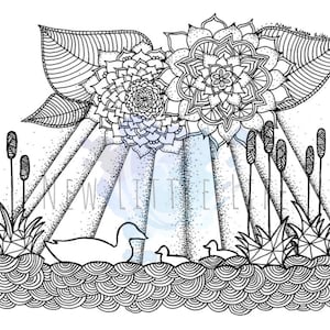 Mother Duck Coloring Page - DIGITAL DOWNLOAD - Adult coloring, Mandala, Coloring page, Black and White Art, Duck art, Mother and Baby Ducks