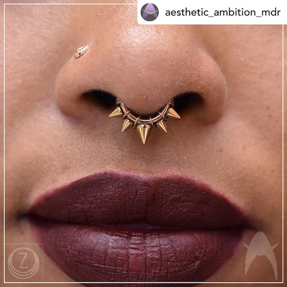TITANIUM Spiked Septum Nipple Conch Piercing Clicker 16g or 14g 5 168mm 3 89.5mm 1 212mm Diameter. Etsy Sweden