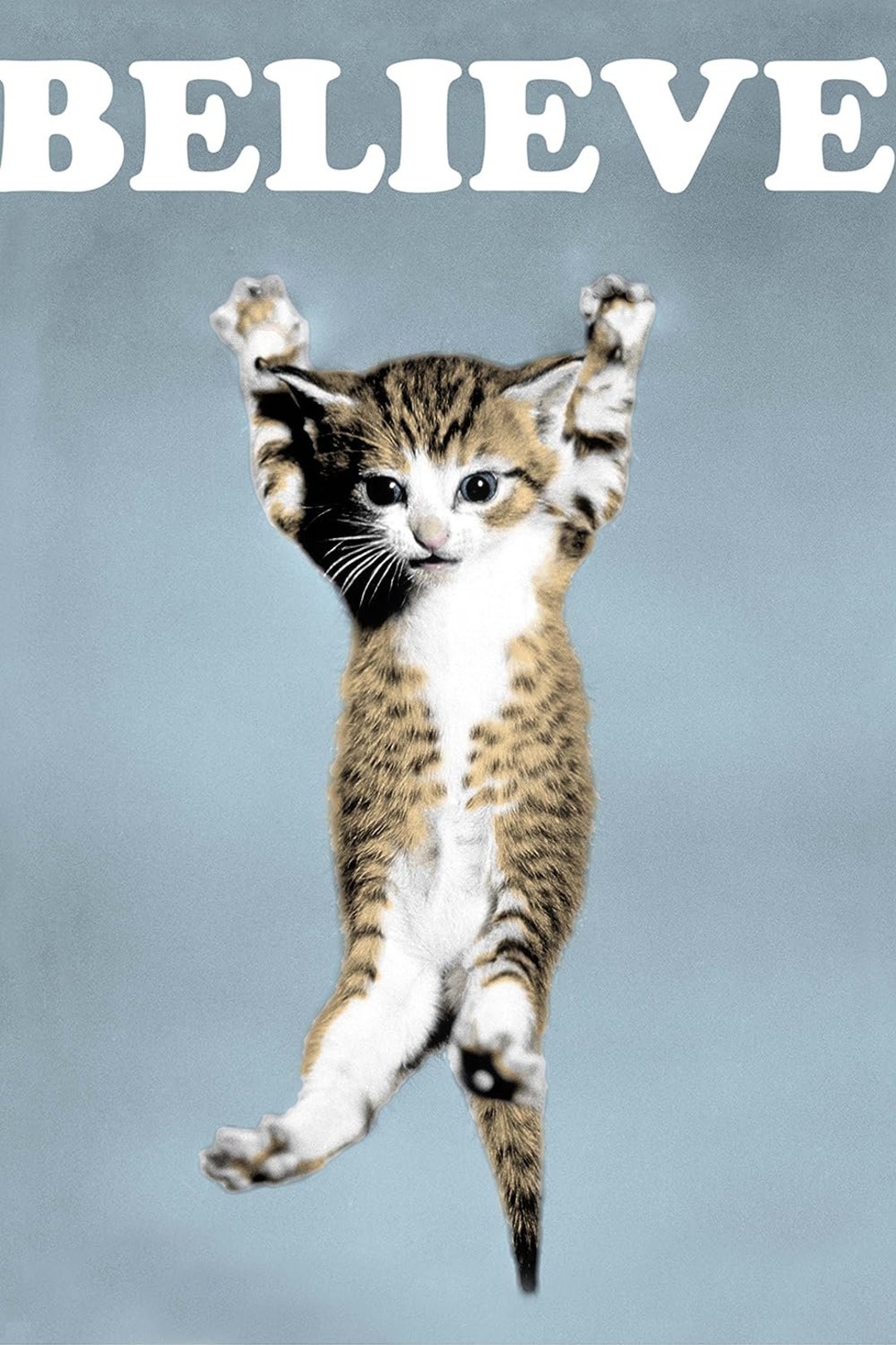 believe-cat-poster-art-print-wall-poster-office-family-bedroom-etsy