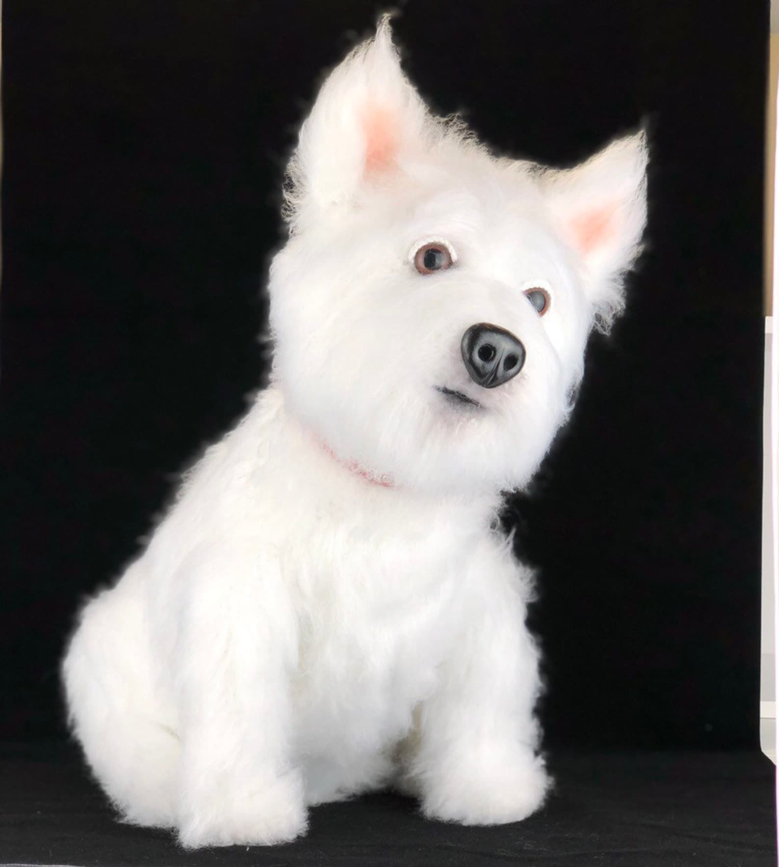 Westie Dog Crochet Pattern Crochet Puppy Dog Crochet Etsy