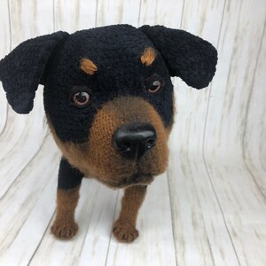 Rottweiler Crochet Pattern, Crochet Puppy, Dog Crochet Pattern, Dog Pattern, Dog Crochet, Puppy Pattern, Crochet Pattern, amigurumi dog image 5