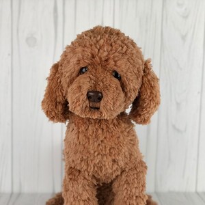 以下が含まれることがあります： ふわふわの毛並みの茶色のぬいぐるみプードルが座ってカメラを見ている。
