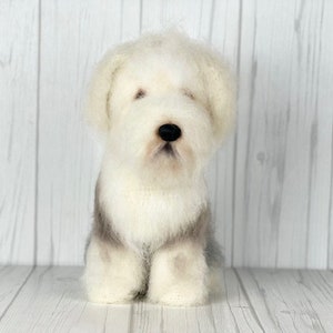 May include: A white and gray Old English Sheepdog with fluffy fur sits on a white wooden background. The dog has a black nose and dark eyes.
