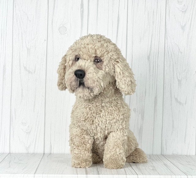 Bichon Dog Crochet pattern by Ambercraftstore
