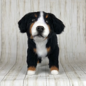 Bernese Mountain Dog Crochet Pattern: Amigurumi Puppy (PDF Pattern)