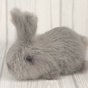 Baby Häschen Häkelanleitung: Amigurumi Hase (PDF Pattern)