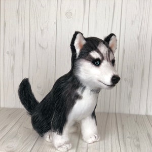 May include: A black and white stuffed husky puppy sitting on a white wooden surface. The puppy has blue eyes and a black nose.