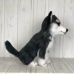 May include: A plush husky dog toy with black and white fur, sitting on a wooden surface.