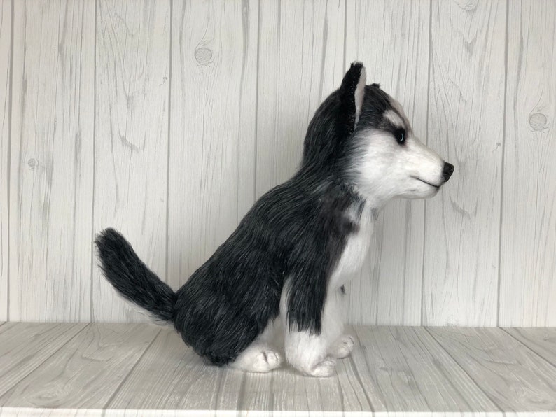 May include: A plush husky dog toy with black and white fur, sitting on a wooden surface.