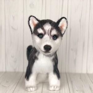 May include: A plush toy husky puppy with black and white fur and blue eyes. The puppy is standing on a white wooden surface.