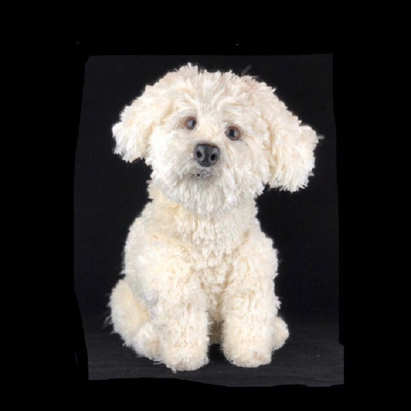 Maltese Dog Crochet Pattern, Dog Crochet Pattern, Dog Pattern, Maltese Crochet pattern, Puppy Pattern, Crochet Pattern, amigurumi pattern