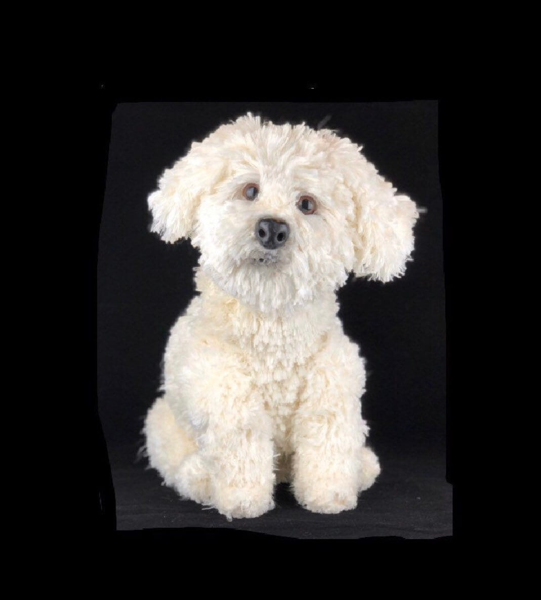 Maltese Dog Amigurumi Crochet Pattern (PDF)