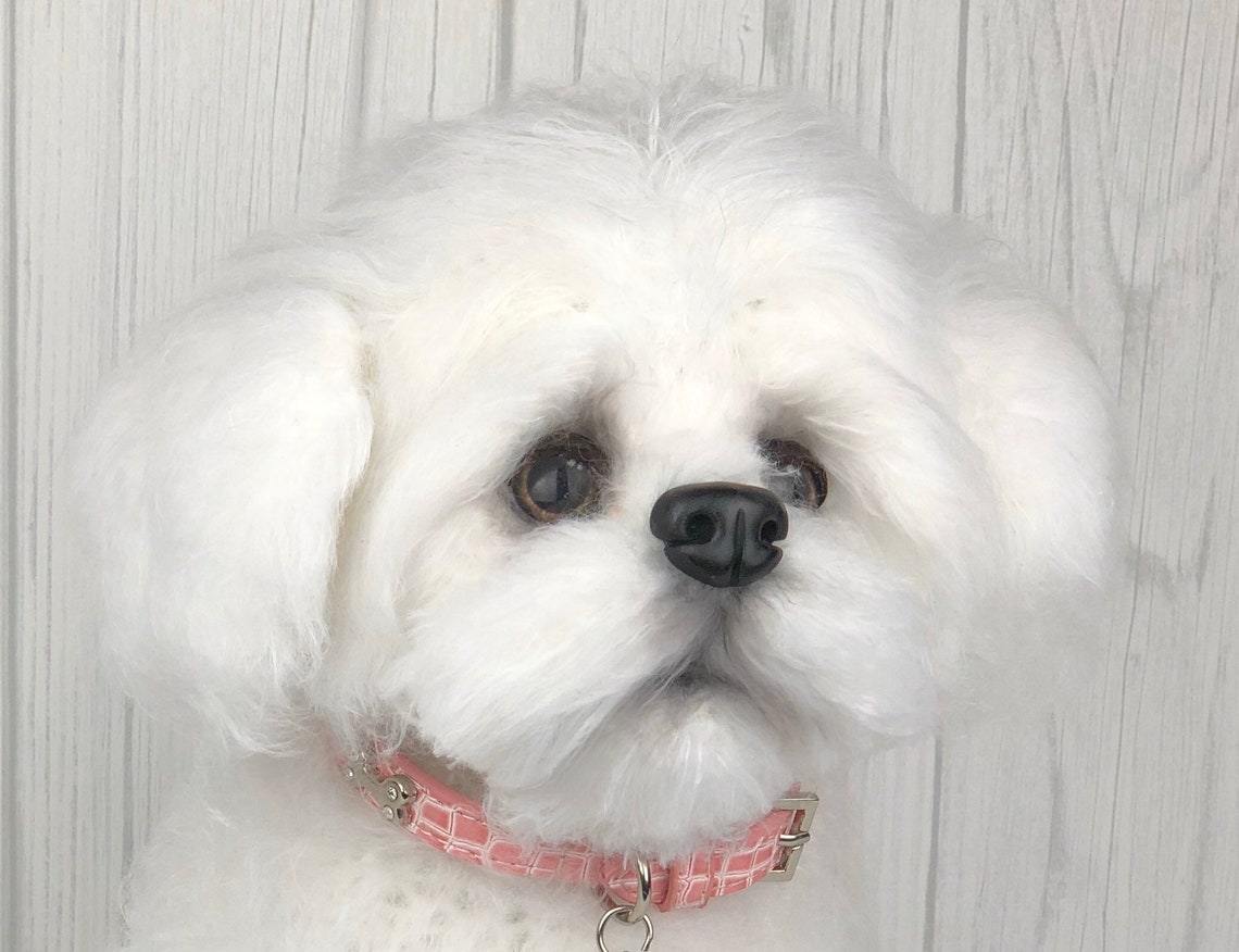 Maltese Dog Crochet Pattern Dog Crochet Pattern Dog Pattern Etsy