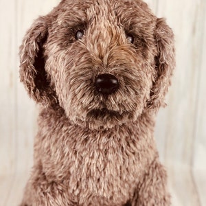 Goldendoodle Dog Crochet PATTERN, Crochet Puppy, Dog Crochet Pattern, Dog Pattern, Puppy Pattern, Crochet Pattern, amigurumi dog image 2