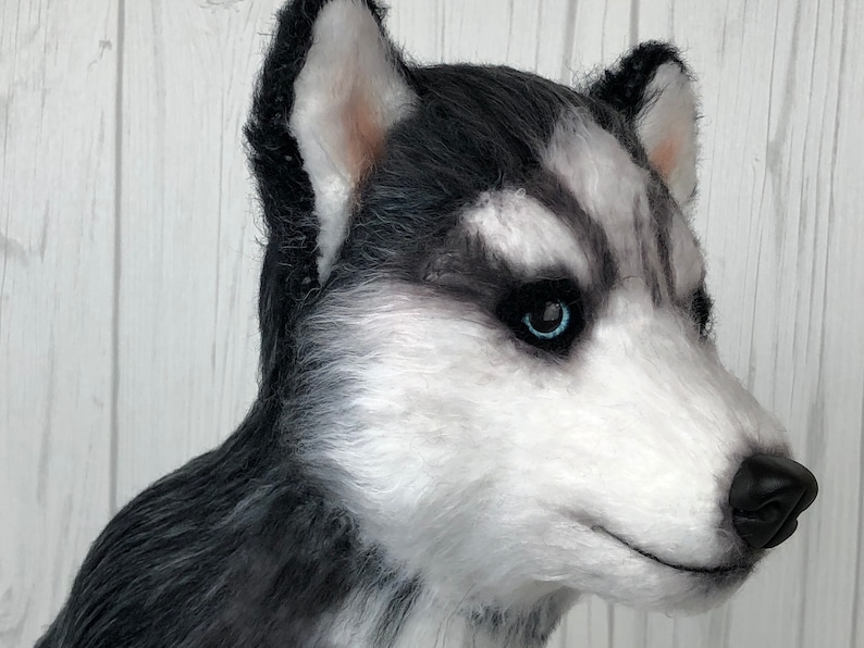 May include: Close-up of a plush husky dog head with black and white fur and blue eyes. The dog is looking to the right.