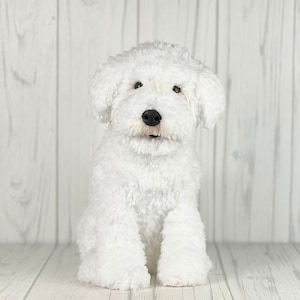 Bichon Crochet Pattern: Amigurumi Puppy Dog (PDF Pattern)
