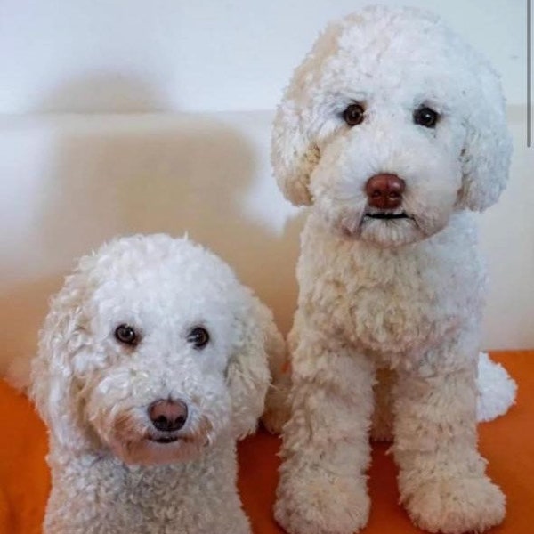 Doodle Dog Crochet Pattern: Amigurumi Puppy (PDF Pattern)