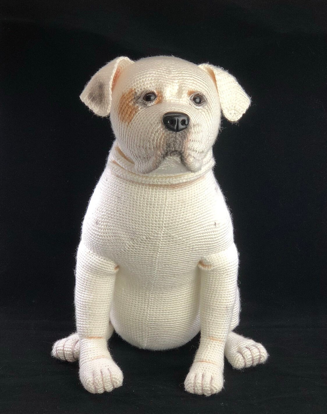 American bulldog teddy discount