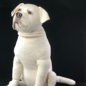 May include: A white crocheted dog toy in a sitting position. The dog has a black nose and brown eyes.