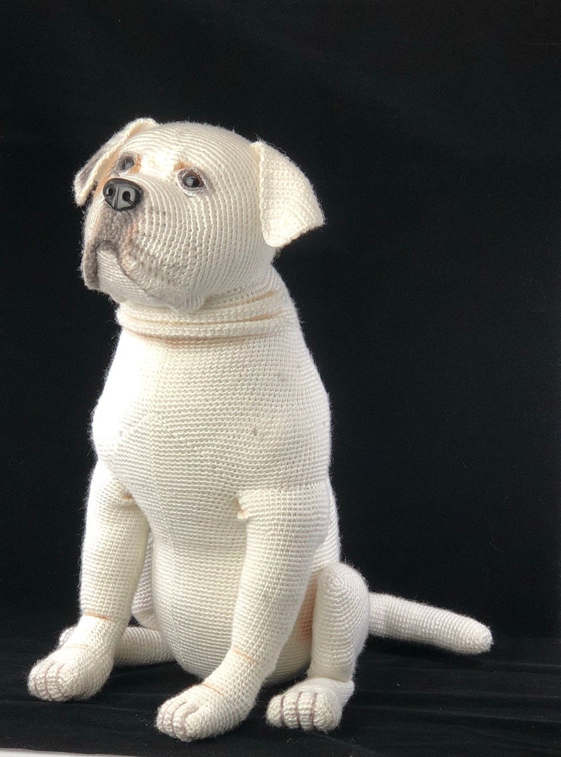 May include: A white crocheted dog toy in a sitting position. The dog has a black nose and brown eyes.