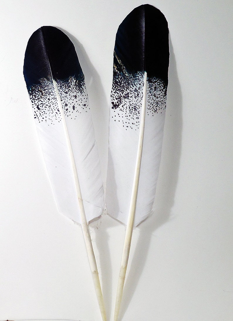 Smuding Feathers HAND PAINTED Eagle Feathers Native American Etsy Canada