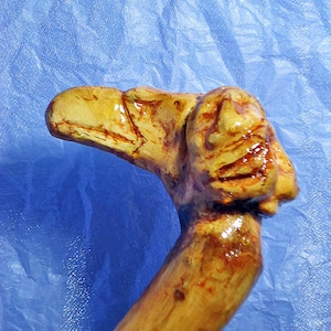 wood carved cane walking stick eagle handle rubber tip authentic native america walking cane hand cane hickory cane wood carving root cane