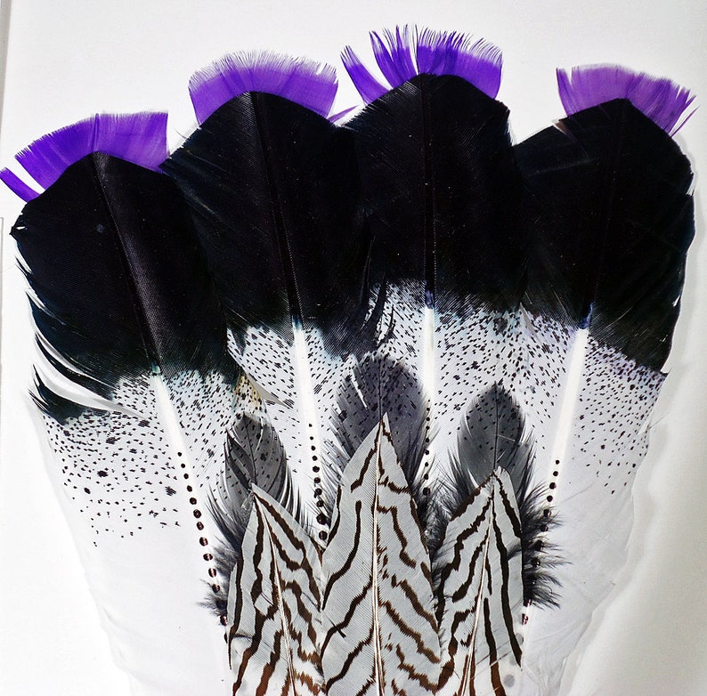 Smuding Feathers HAND PAINTED Eagle Feathers Native American Etsy Canada