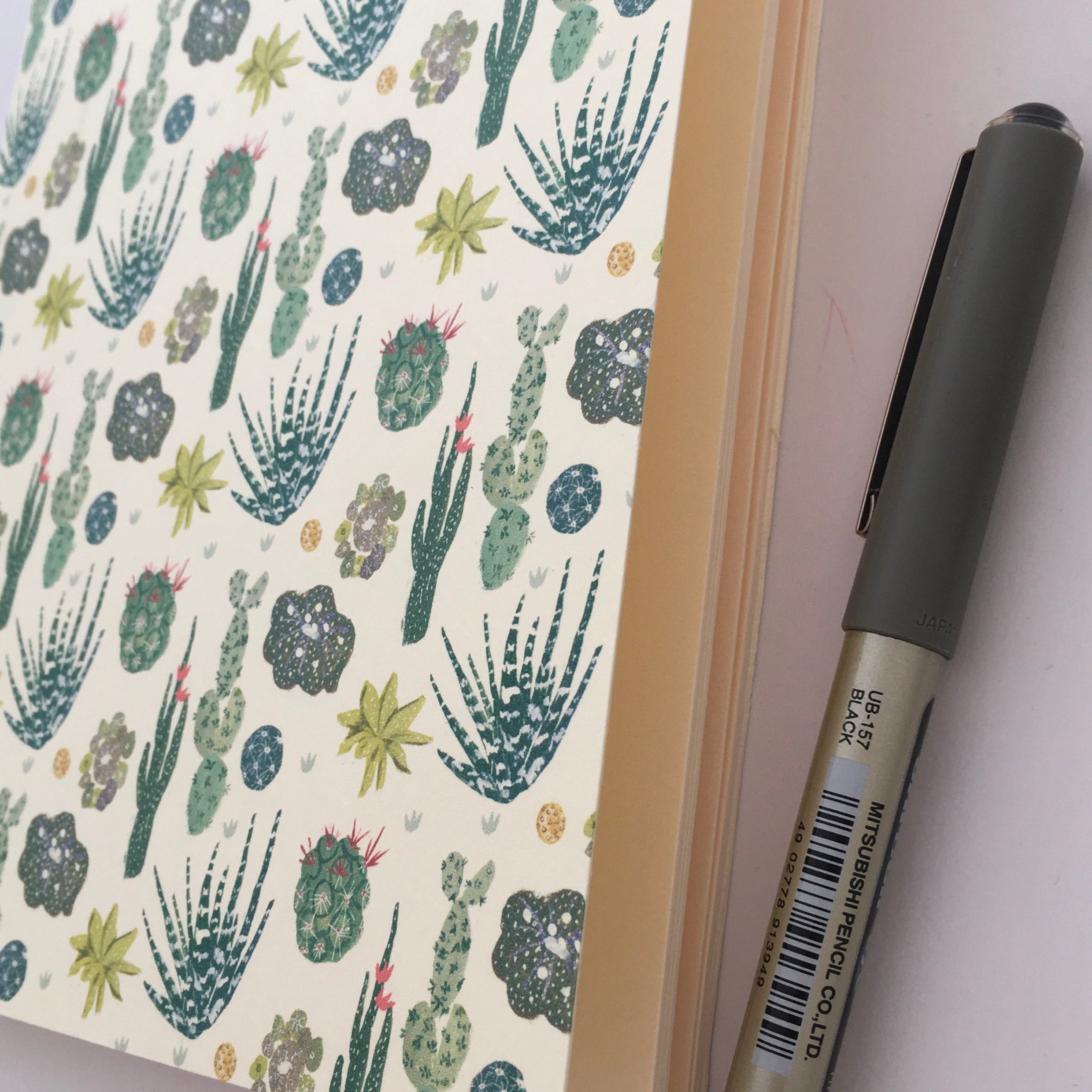 Handmade A5 Sketchbook Notebook Plain Page Book Cacti Etsy