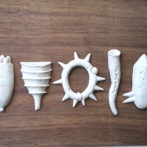 May include: Five white ceramic sculptures with different shapes and textures. The sculptures are arranged in a row on a wooden surface.