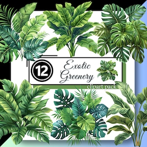 May include: A set of 12 digital clipart images featuring various tropical leaves and plants. The images are in a green colour palette and are perfect for adding a touch of nature to your designs.