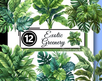 Exotic GREENERY Clipart Monstera Plants Tropical Jungle Foliage Leaves High Quality Transparent PNG Instant Digital Download Commercial Use