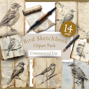 Bird Sketchbook Notes Clipart Pack - Parchment Paper Nature Field Journal Ink Pen Drawing Handwriting - Commercial Use (Digital Download)
