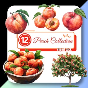 Peach Collection Clipart, Peach Fruit Tree Clip Art Sublimation, Digital Download Commercial Use, Bowl of Peaches png graphics for Creatives