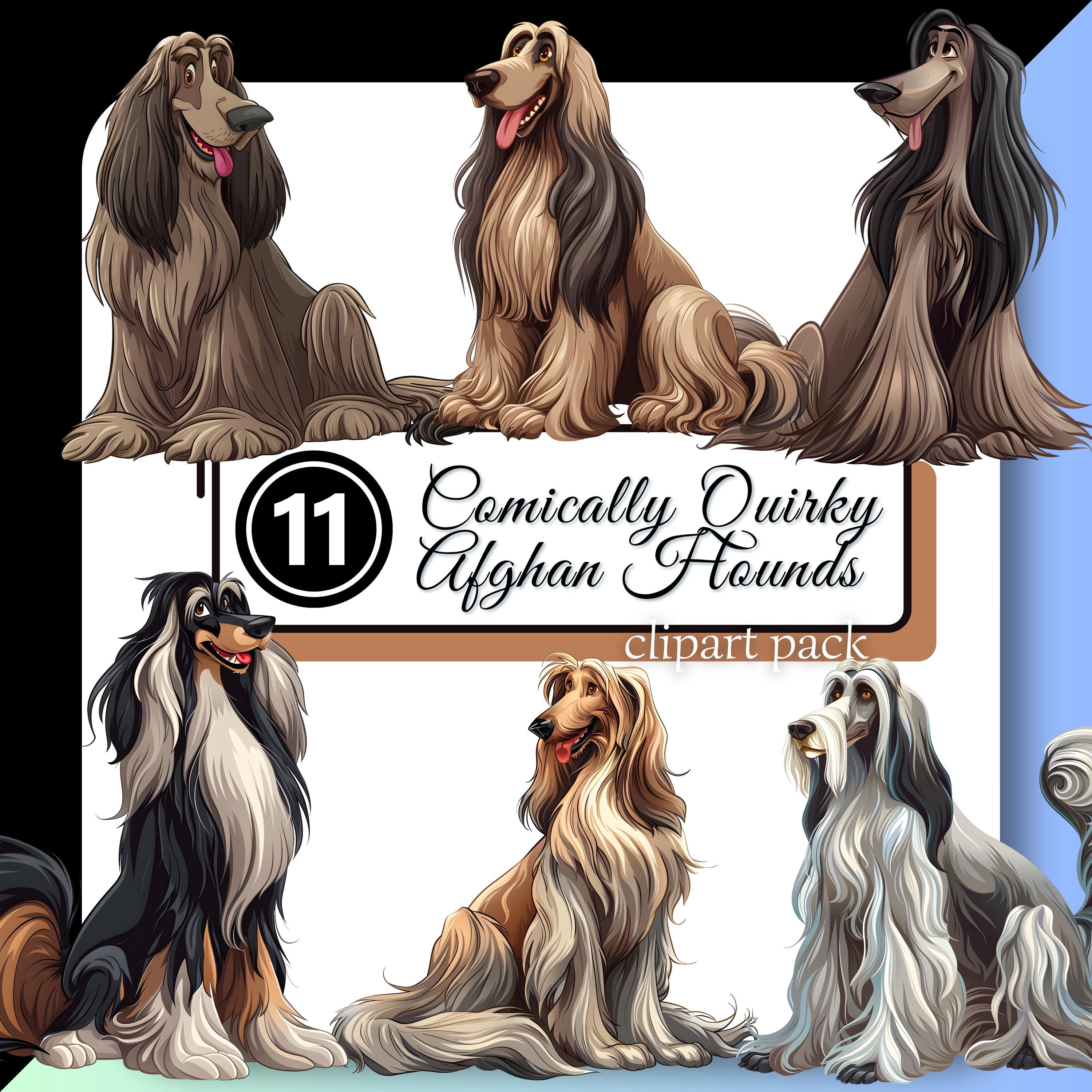 Afghan Hound Cartoon Sweden