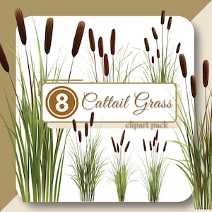 Ensemble de cliparts HERBE quenouille PNG aquarelle Scrapbooking téléchargement numérique roseau de jonc Nature Art fournitures pour travaux manuels de haute qualité usage Commercial